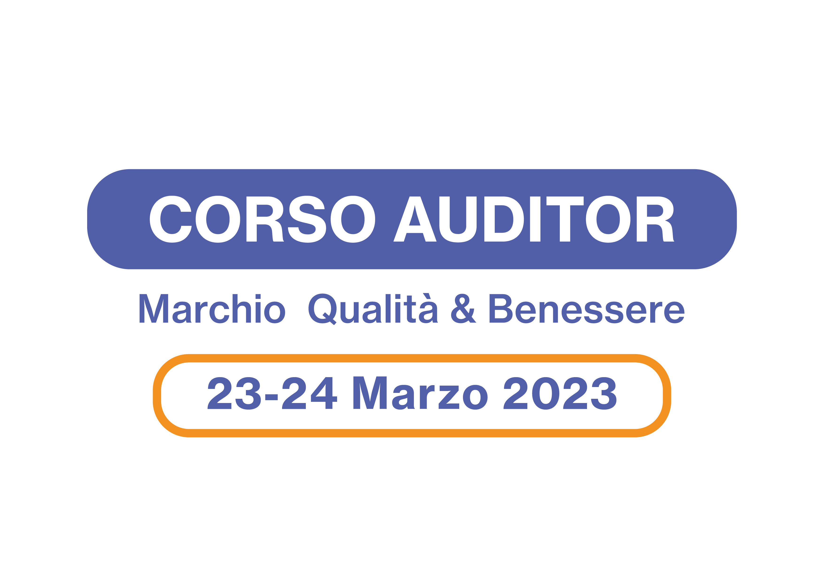 auditor marzo 2023 Corso Auditor