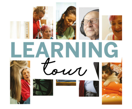 Corso Auditor